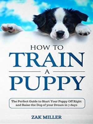 cover image of How to Train a Puppy